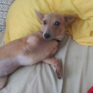 Meet your Posher, Mary